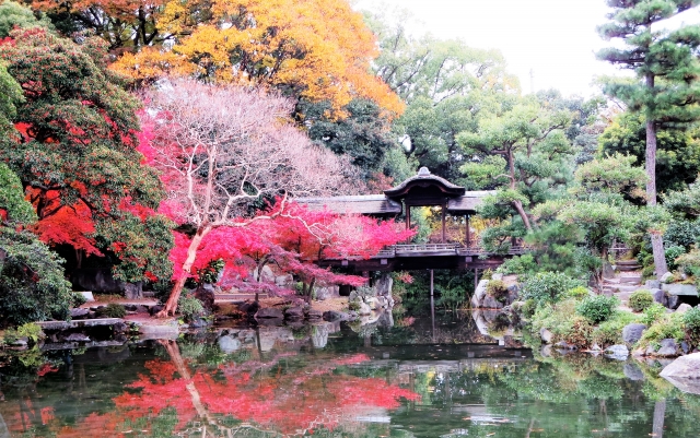 渉成園:池の水面に紅葉が映る