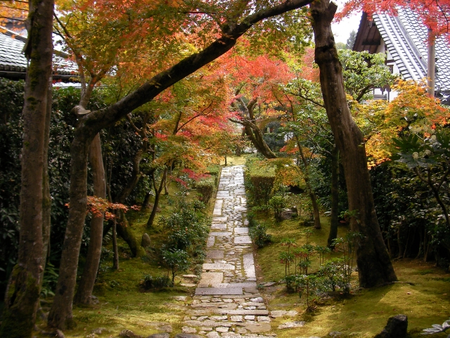 龍安寺:細い石畳の両脇に紅葉した樹木