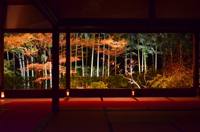 宝泉寺:暗い室内から紅葉の額縁庭園を臨む